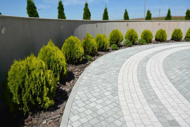 Reasons to Select Us for Your Driveway Paving Requirements in Oakley, CA